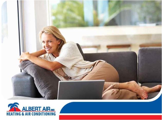An Overview of Albert Air Inc.’s Services