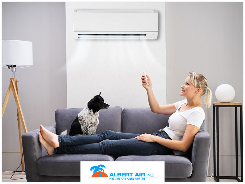 Follow These HVAC Maintenance Tips If You Have Pets at Home