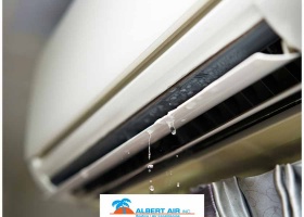 gallery_815-albertair2_1659076167.jpg