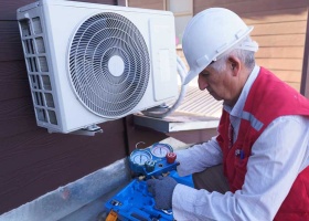 gallery_albert-air-inc2-2_5_1780503500.png